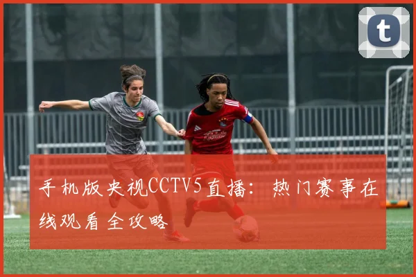 手机版央视CCTV5直播：热门赛事在线观看全攻略